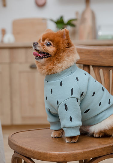 Serie de Productos para Mascotas